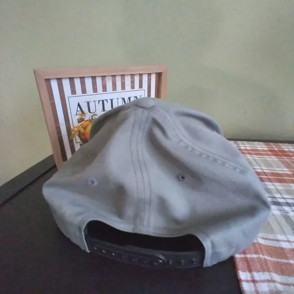 Volcom Snapback - Picture 4 of 4